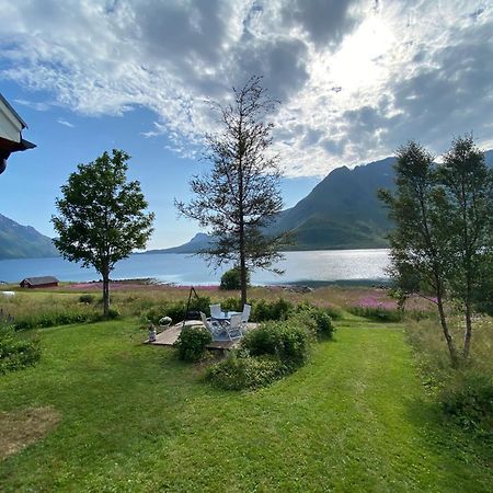 Unique And Charming House At The Foot Of Lofoten'S Highest Mountain Svolvær Exterior foto