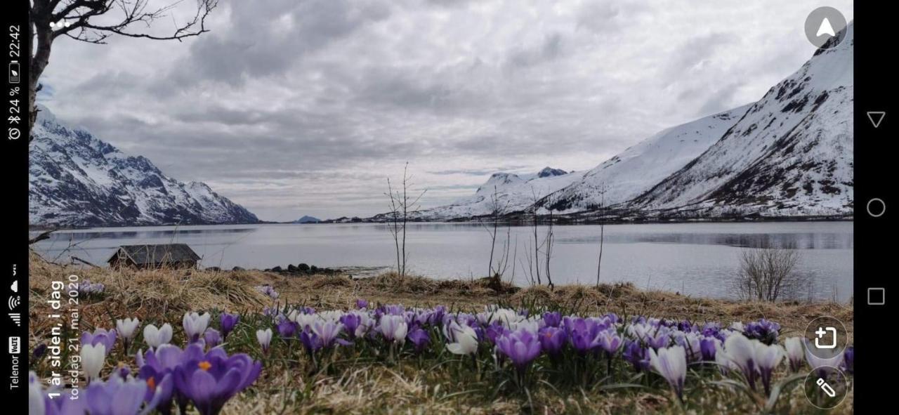 Unique And Charming House At The Foot Of Lofoten'S Highest Mountain Svolvær Exterior foto